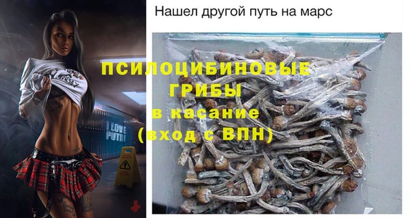СК Алзамай